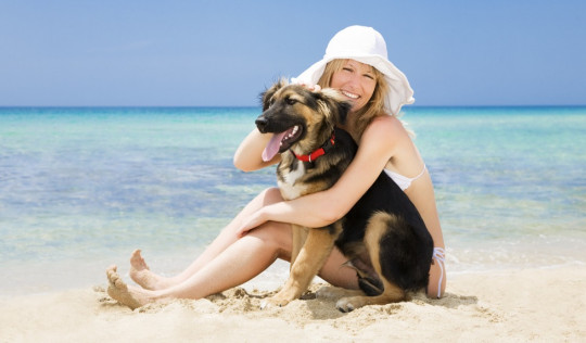 vacances plage pour chien en italie
