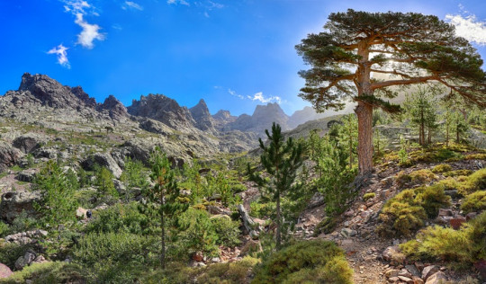 Les plus belles randonnées en Corse