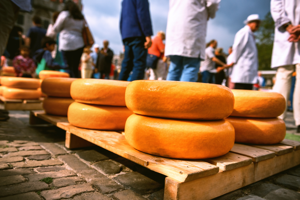 Kaas, het gele goud van Nederland