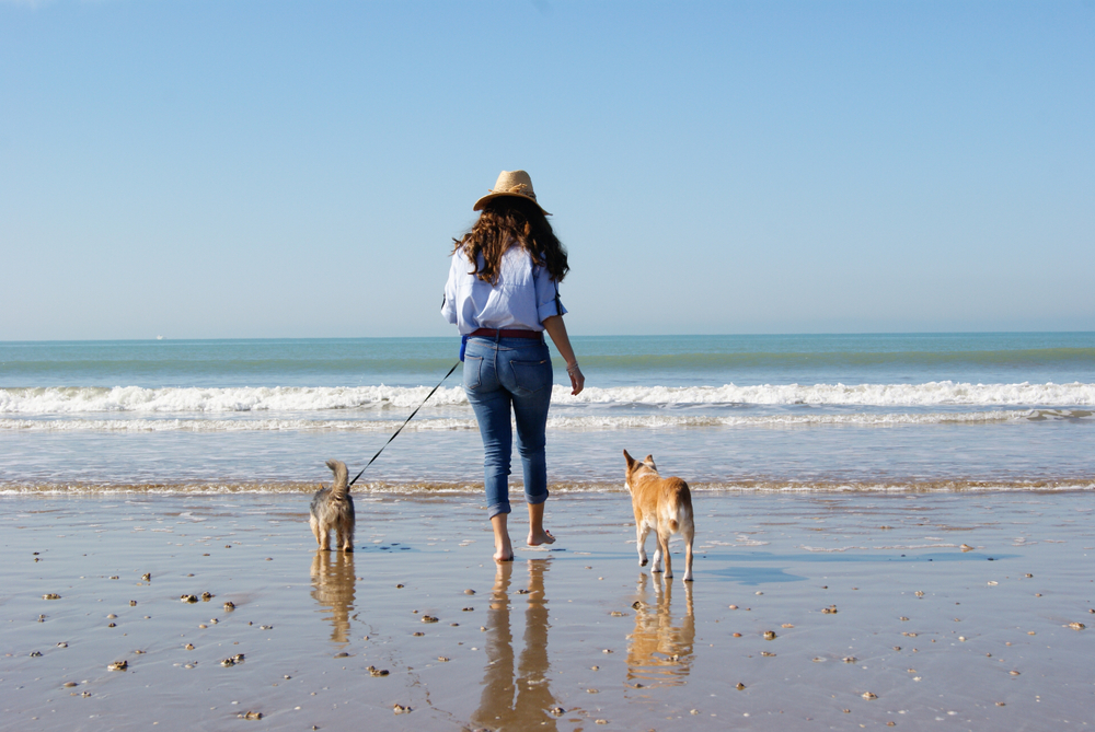 Balade plage Espagne chiens